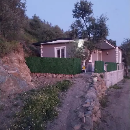 Studyo Zeytin 1 Feriehus Dalaman